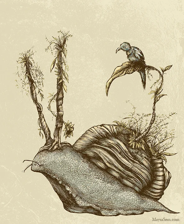 Snail