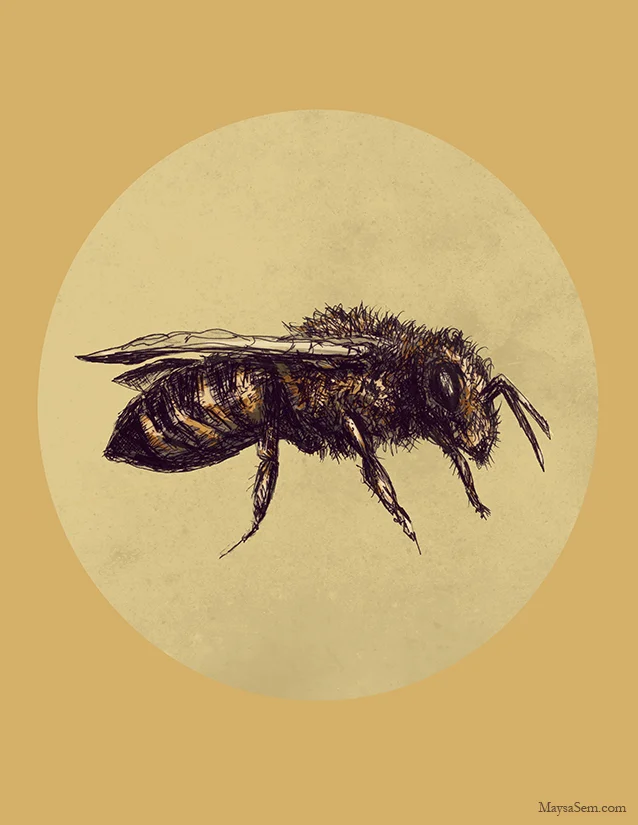 Bee