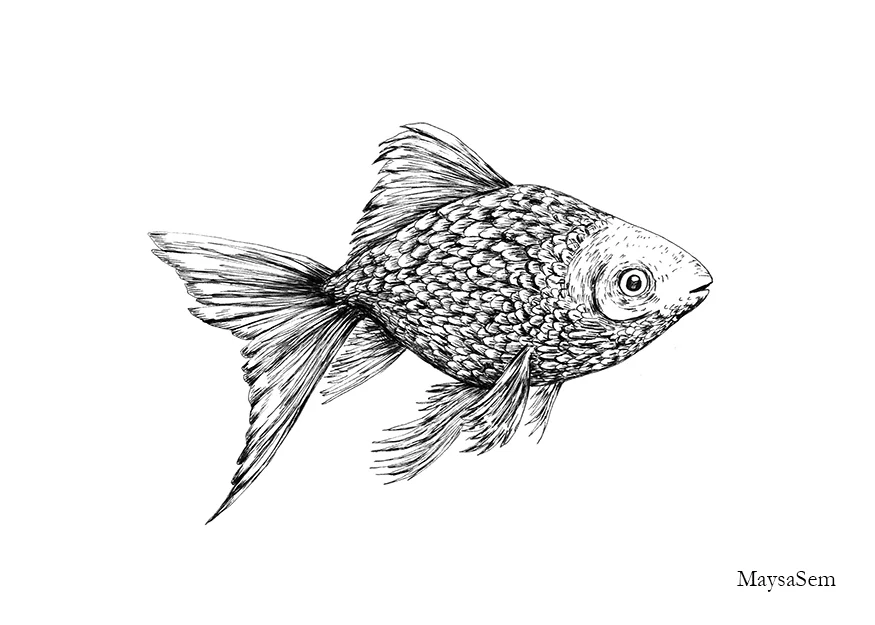 Goldfish