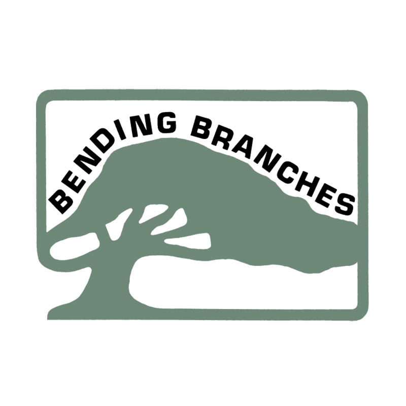 Bending Branches Paddles