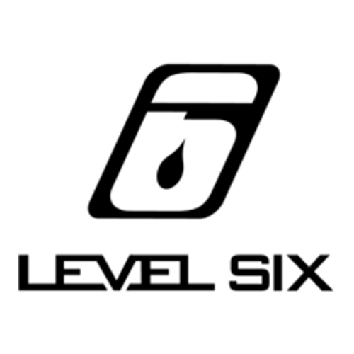 Level 6