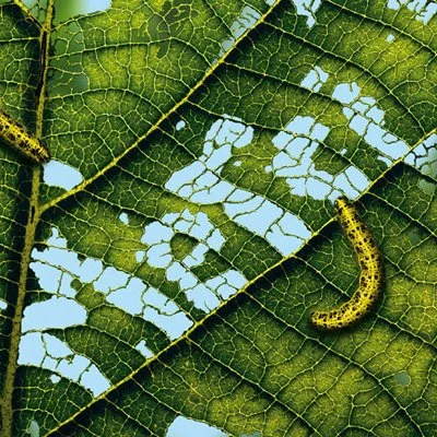 VIGNETTE RET CREA_400px copie.jpg