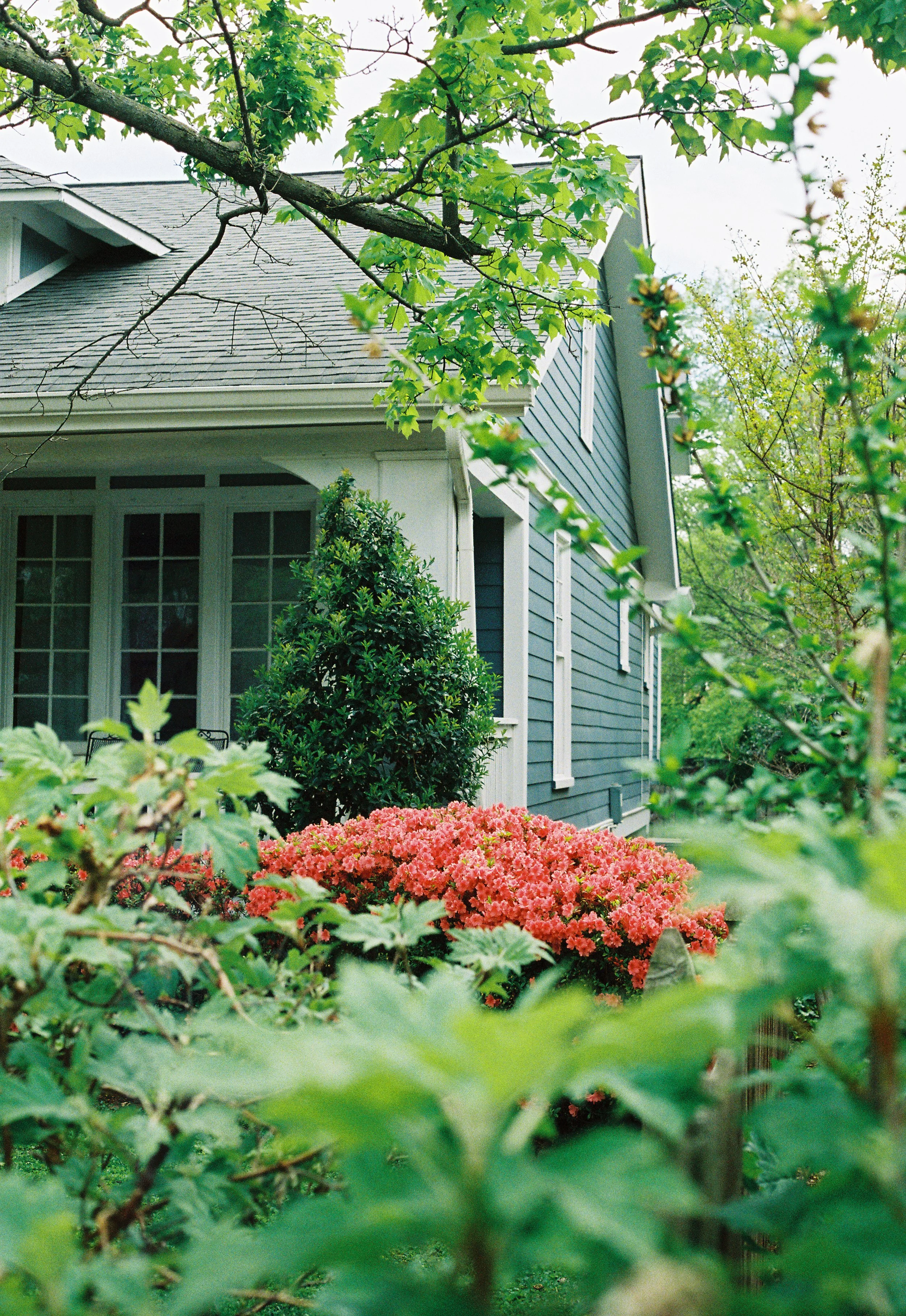 PD_5742_Portra 800_133107-R1-009-3.jpg