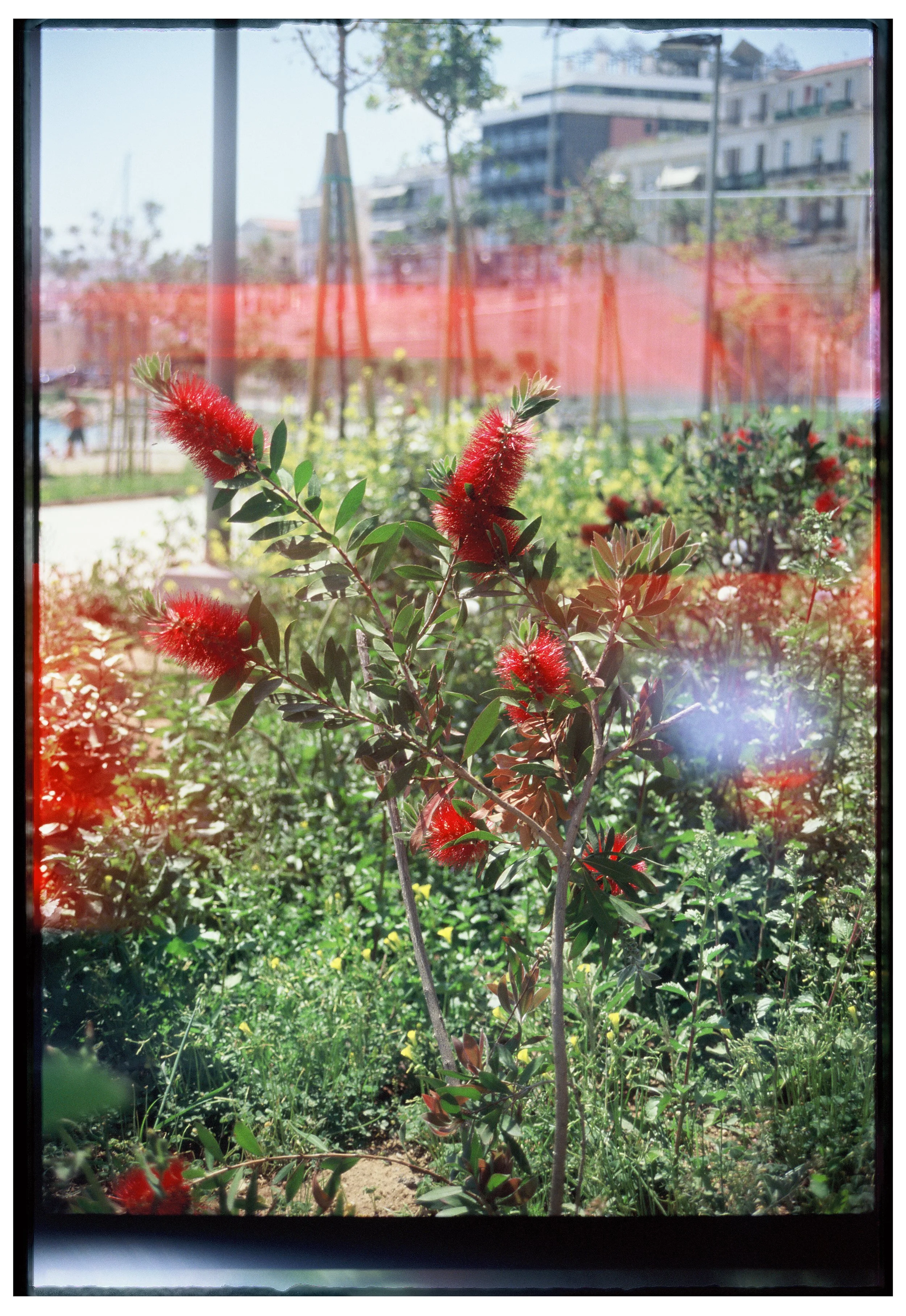 PD_9486_Ektachrome 100_133663-R1-E012.jpg