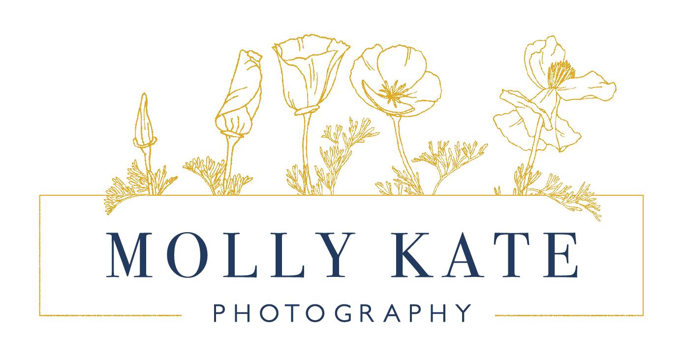 MollyKatePhotography_Logo_FINAL-01_WebTransparent.png
