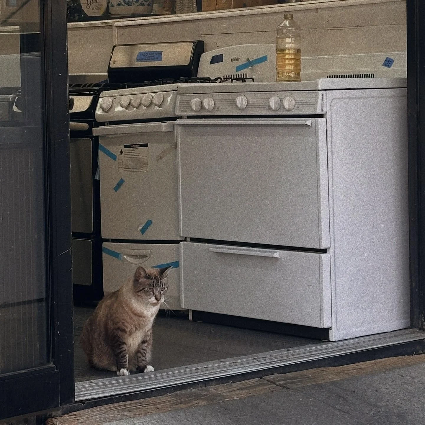 New York Week 1 Photo Dump

Serious manager of an appliance store in Brooklyn.
The sounds of the city.
A forgotten love note.
The view from our Airbnb.
Brooklyn stoop cat.
Subway stop.
A dress at @plusbklyn. 
Escaping from a romper @plusbklyn.
Weddin