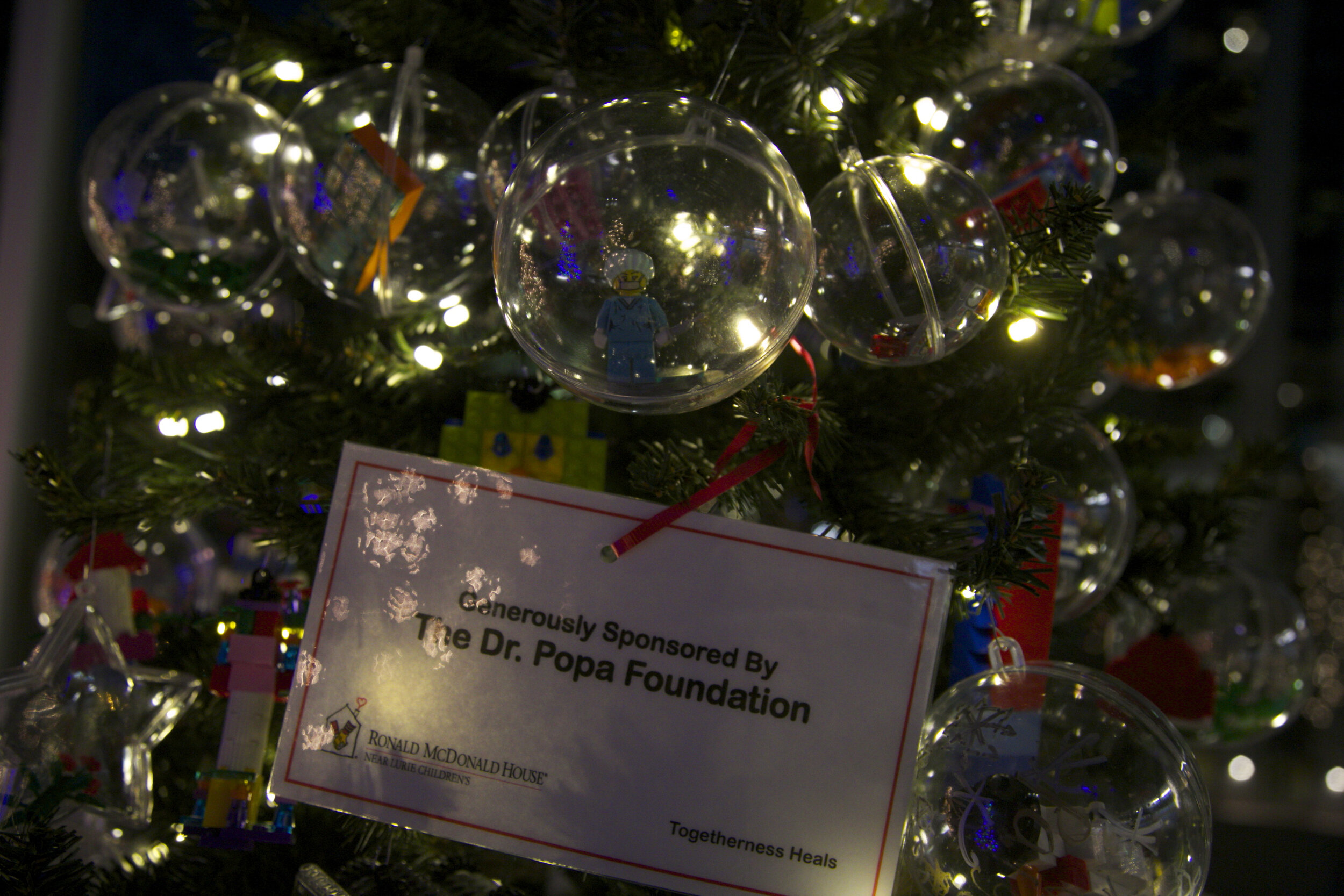 dr popa foundation tree.jpg