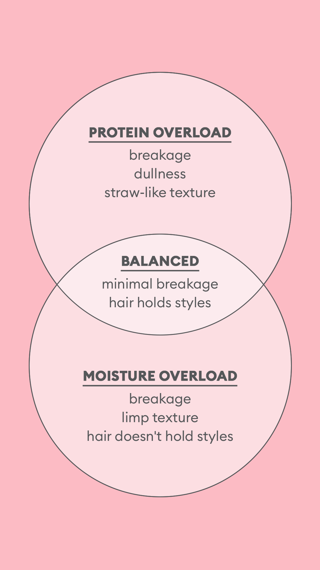 Slide-6-IG-Story-DDR-Cond-Protein-+-Moisture.gif