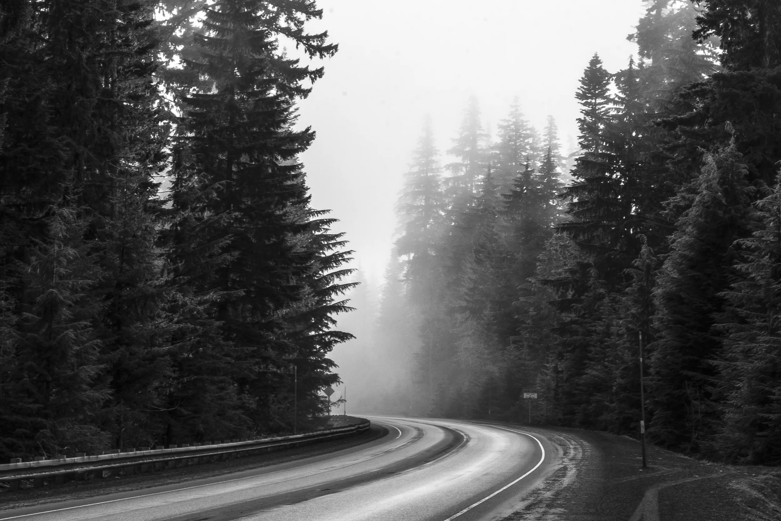 Foggy Road.jpg
