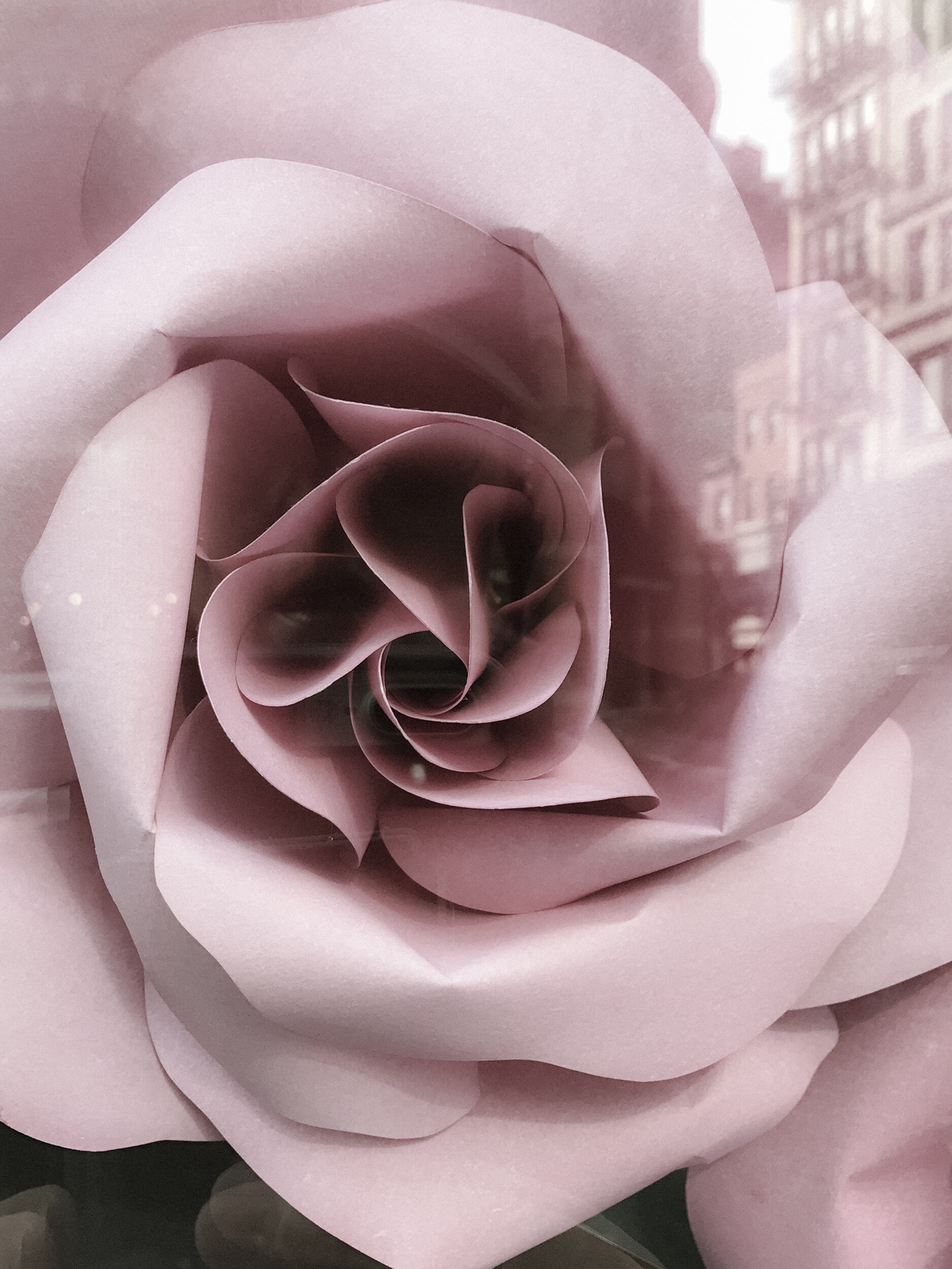 paperrose-002.JPG