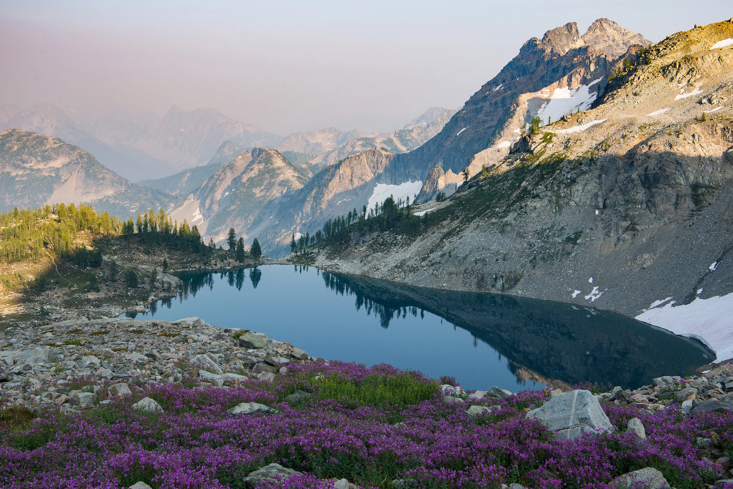 Wildflowers in bloom beneath Black Peak.