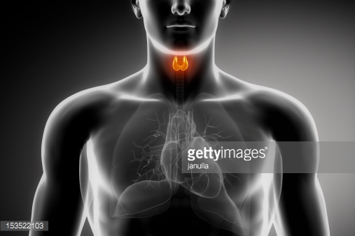 Photo by janulla/iStock / Getty Images
