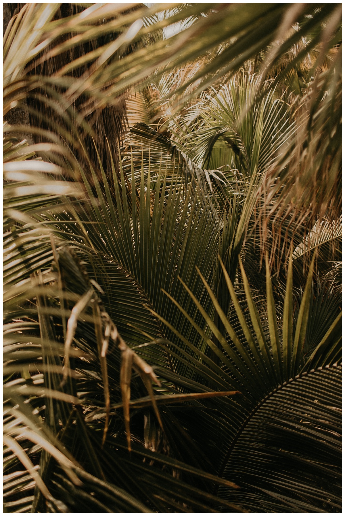 Bixby+Pine-PNW-Wedding-Planners-And-Designers_1833.jpg
