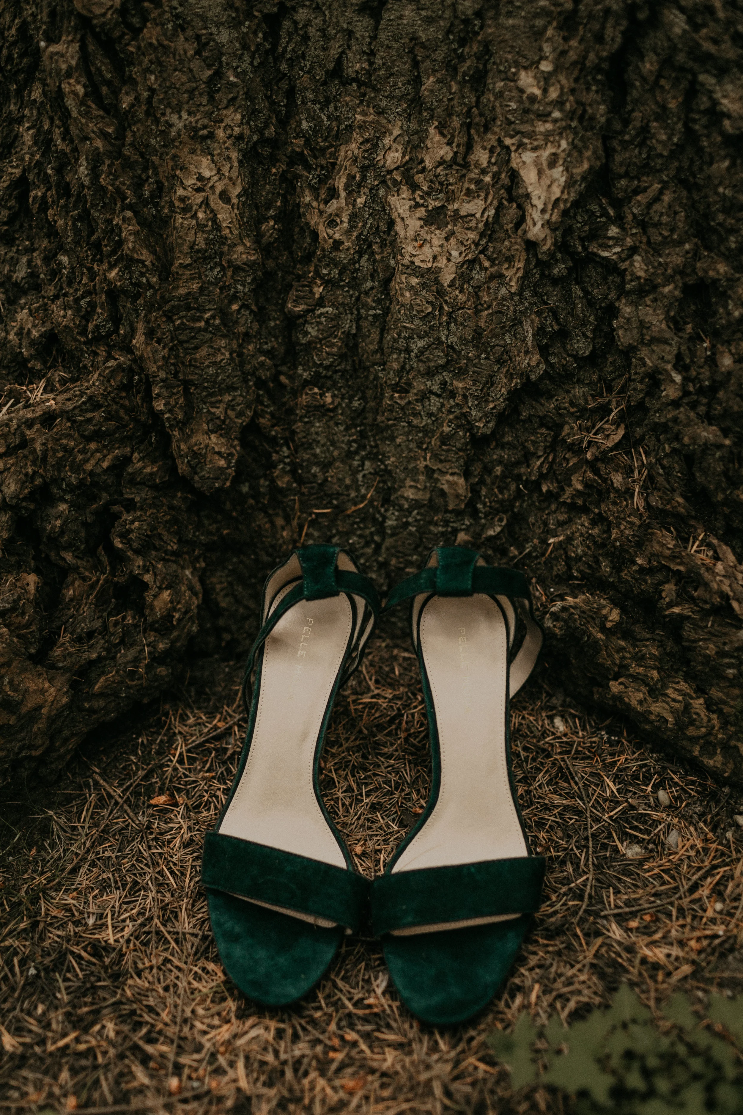 Shayna+Mark-405.jpg