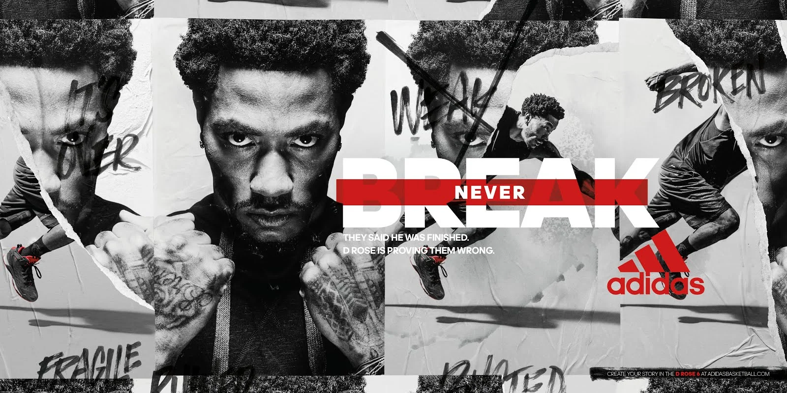 D Rose 6 Infographic-703133.jpg