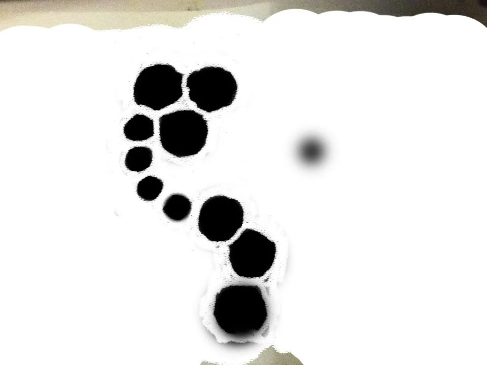 Black paw print pattern on a white background with a blurred area to the right.