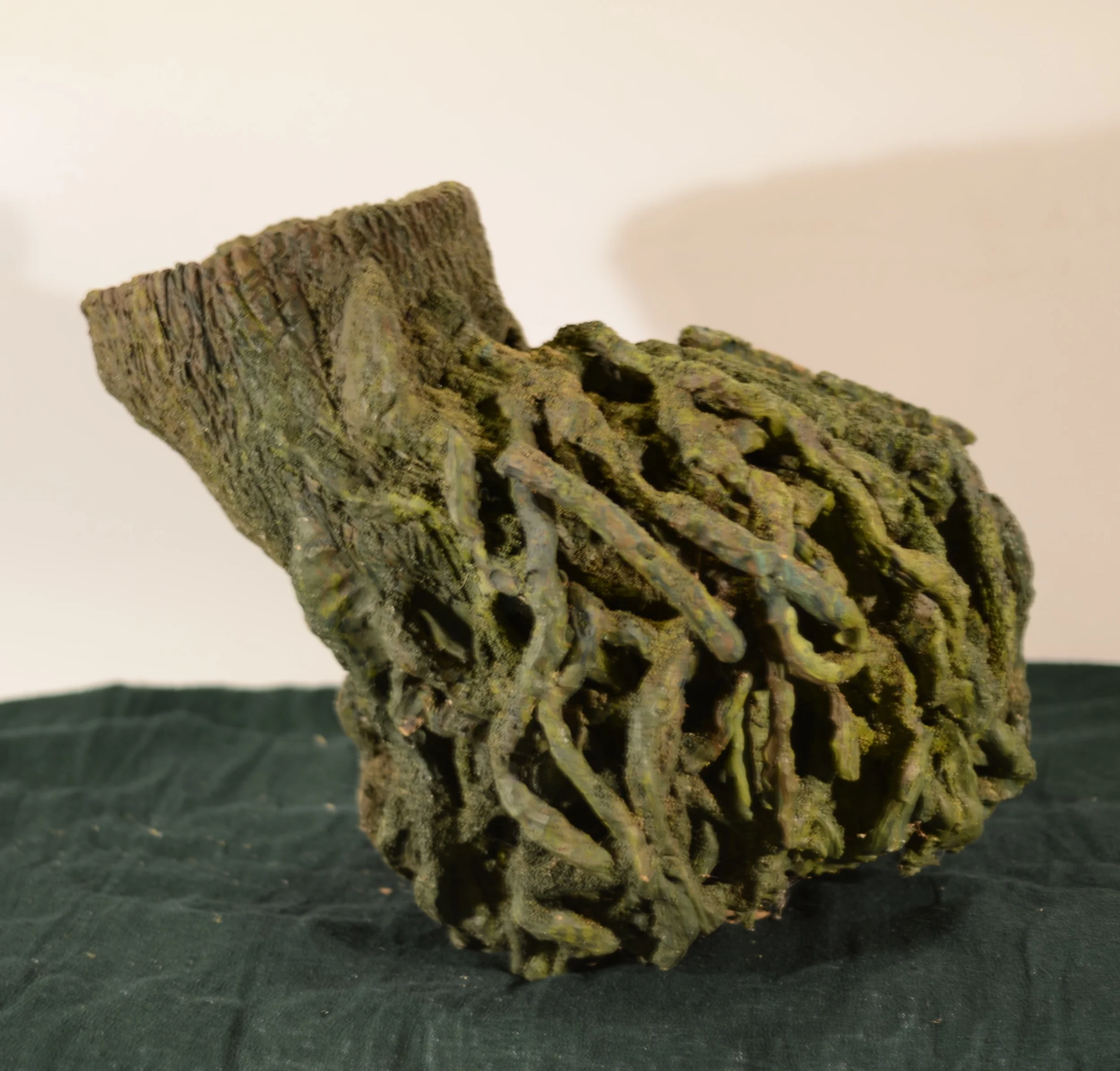 A piece of wood with roots attached, displayed on a dark cloth surface.