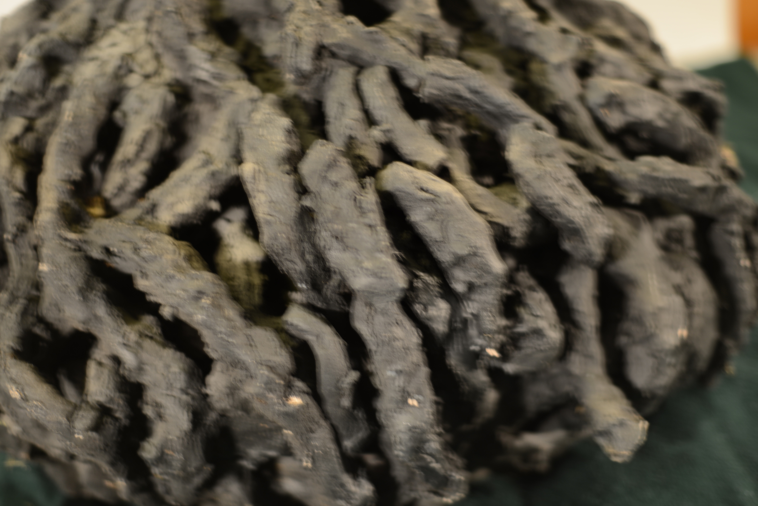 DSC_0412.JPG