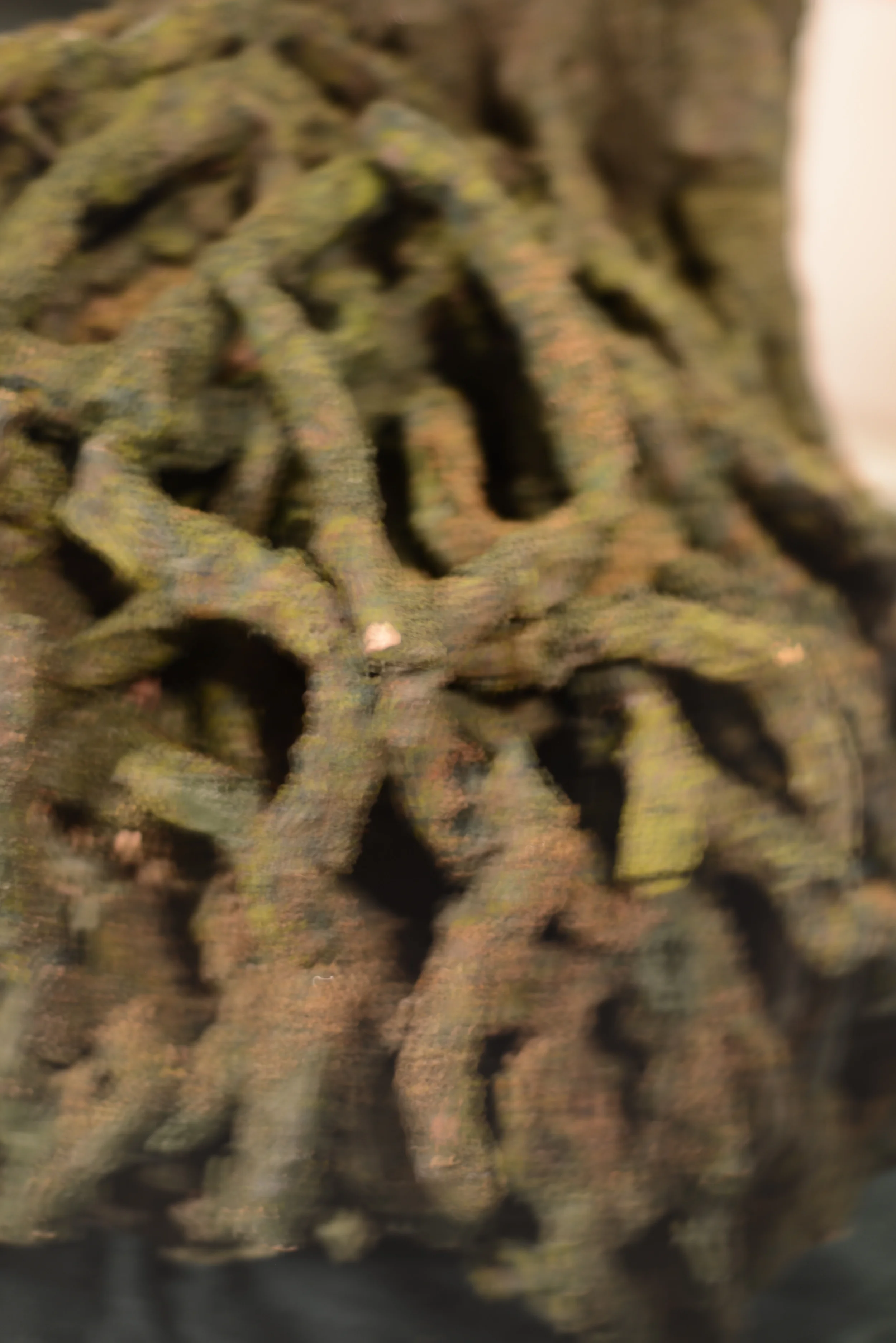 DSC_0438.JPG