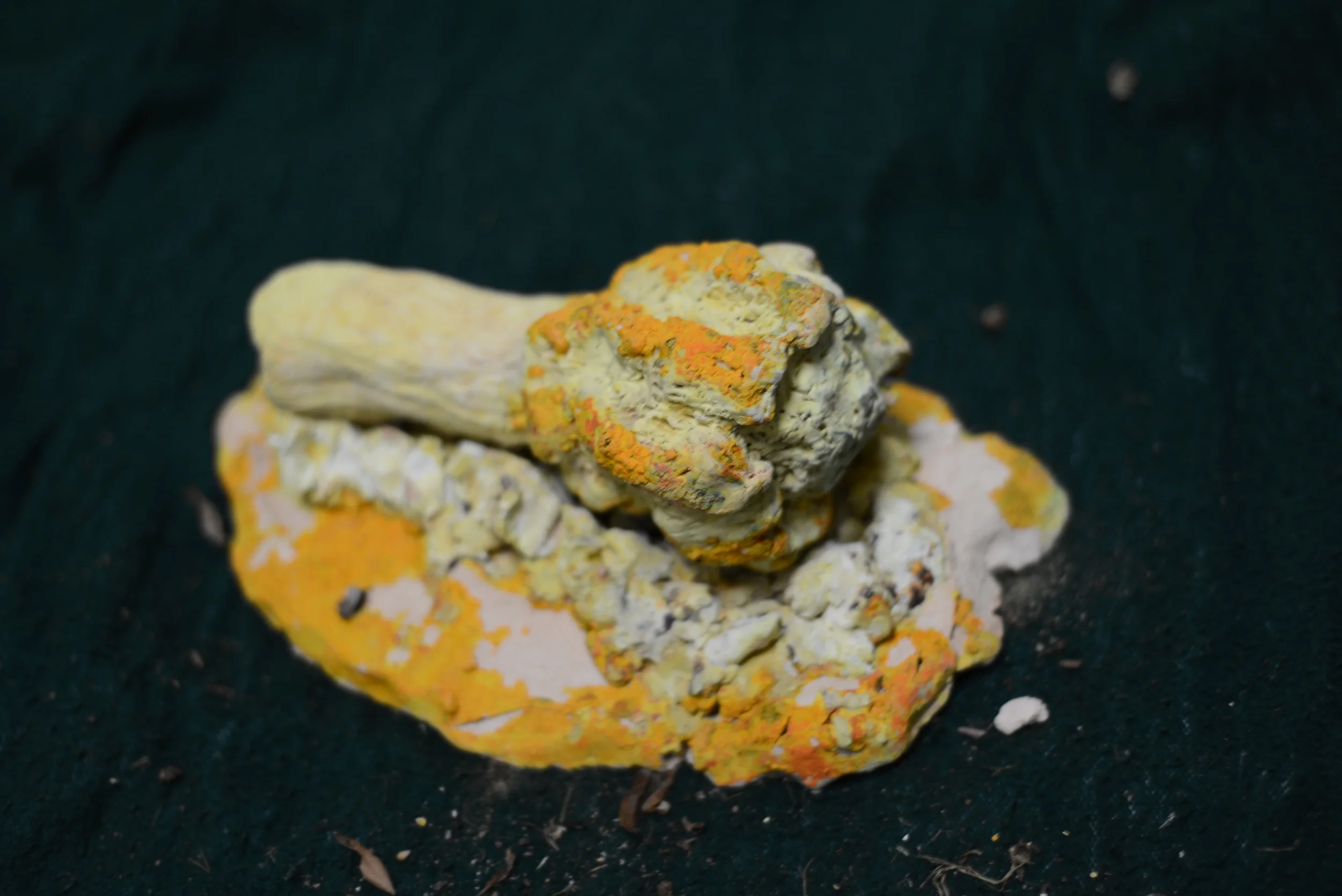 A close-up of a mineral specimen with yellow, orange, and white crusty textures on a dark background.