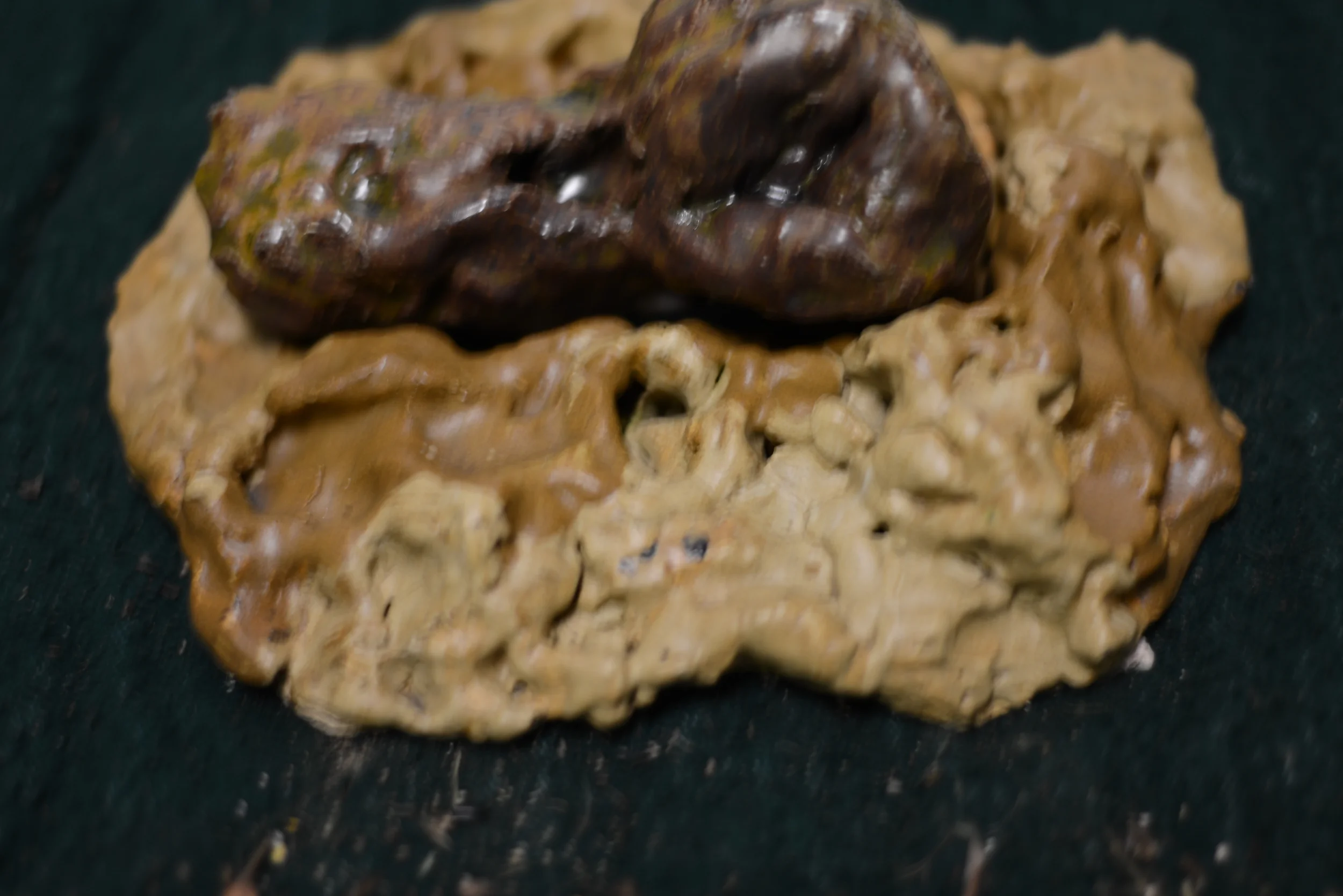 A close-up of a piece of rough, brown material and a dark brown, glossy, irregularly shaped object placed on a dark surface.