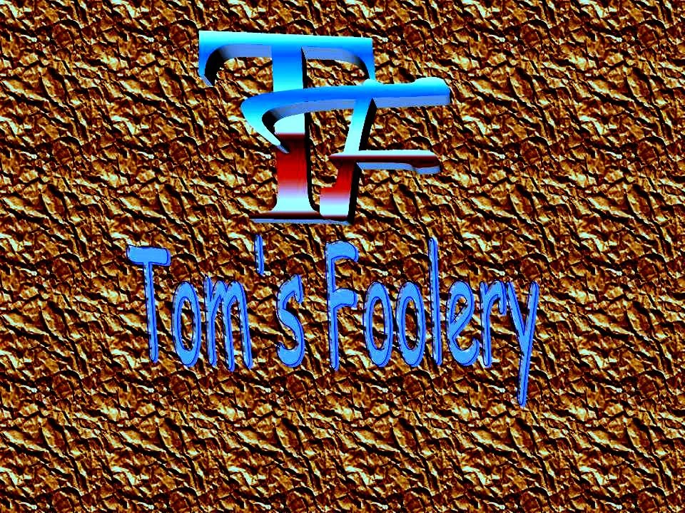 Neon sign with stylized 'TF' logo and text 'Tom's Foolery' above a textured brown background.