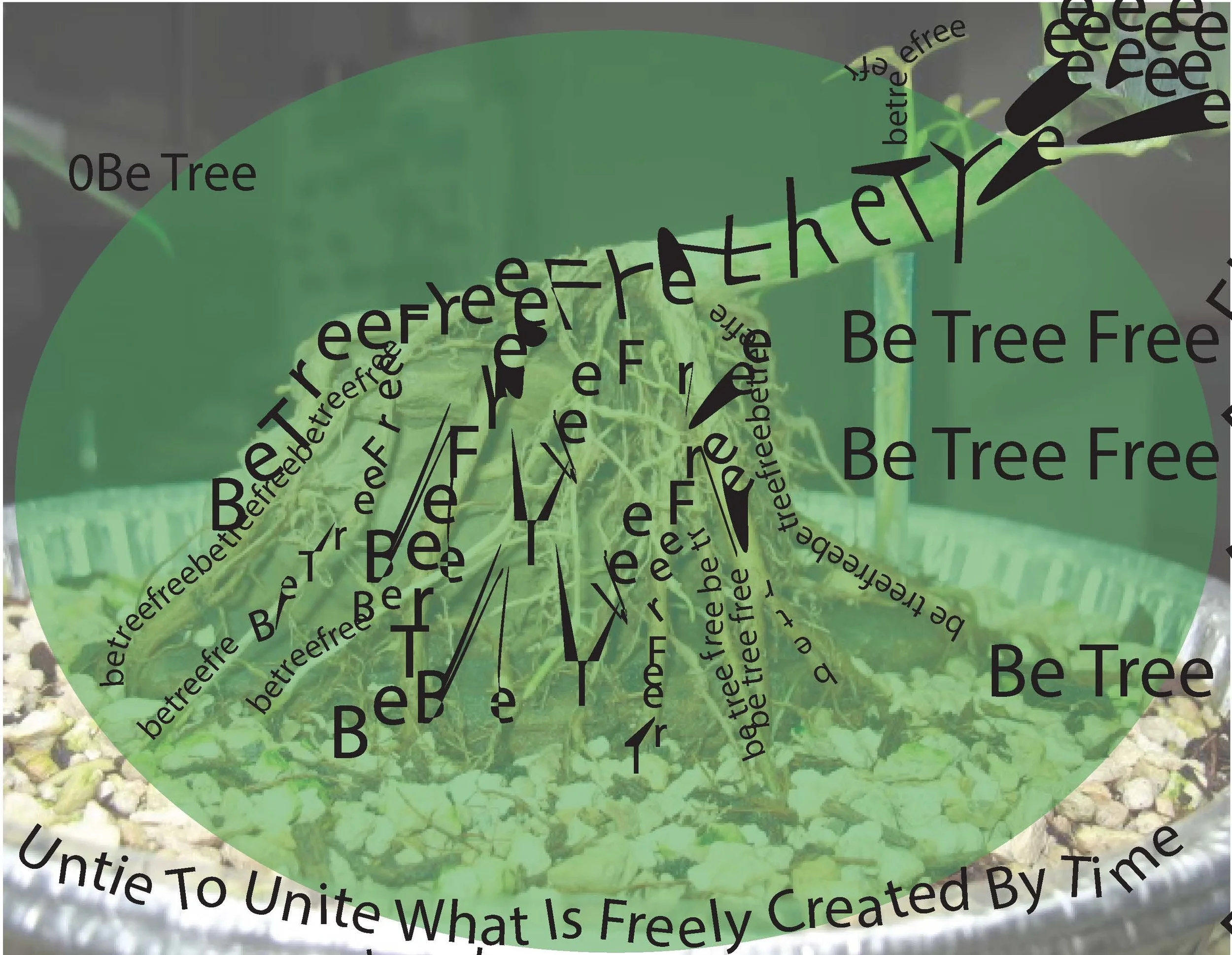 Photo of small plant in a jar with overlaid text saying "Be Tree Free" and related phrases.