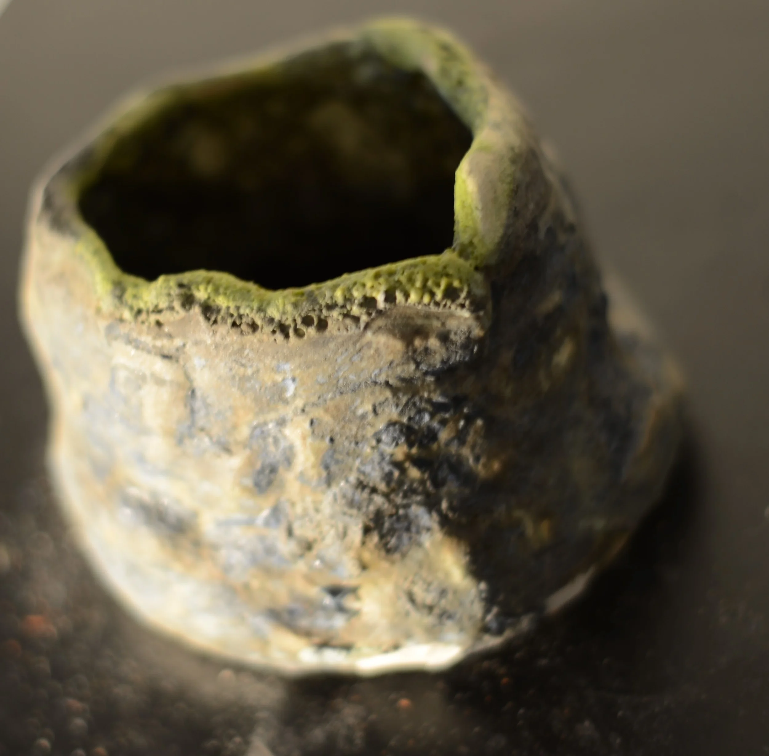 Close-up of a weathered, hollowed-out rock or fossil with greenish moss or algae on its rim.