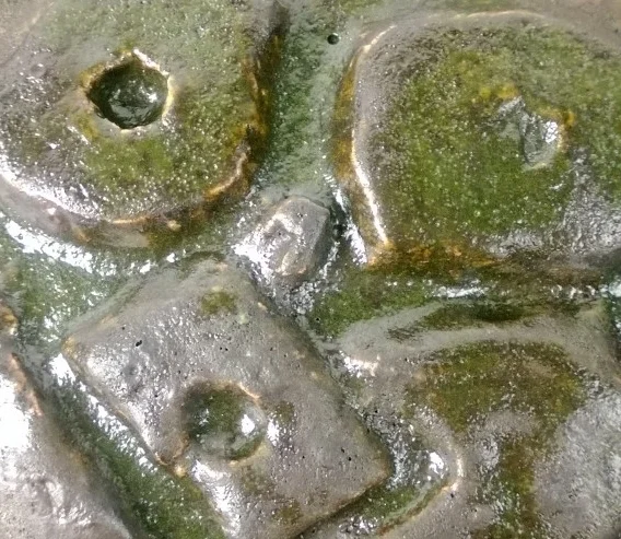 Close-up of a surface with circular and irregular shapes covered in green moss or algae, appearing to be metal or stone objects.