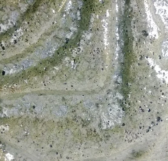 Close-up of a wet, mossy stone surface with holes and uneven texture.