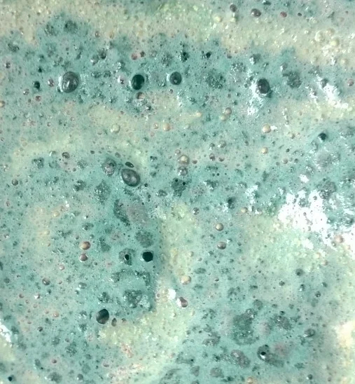 Close-up of a greenish, bubbly, and foamy liquid surface.