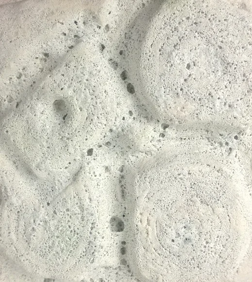 Close-up of circular, textured button-like objects embedded in a bubbly, porous surface.