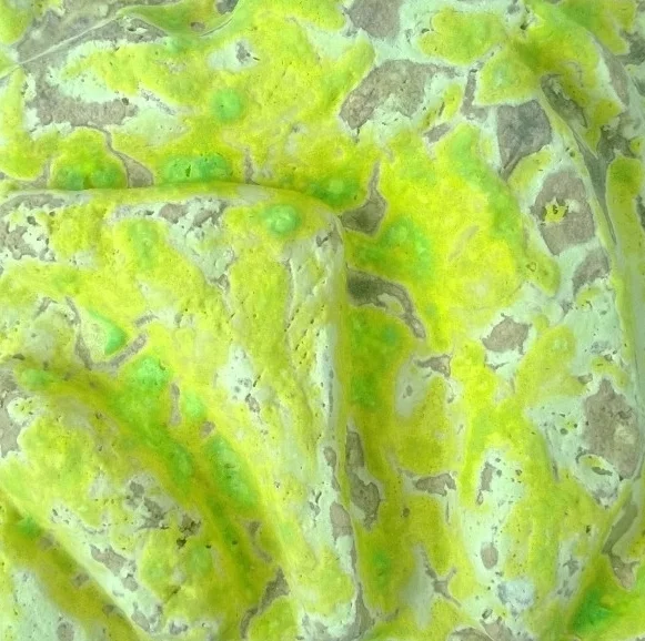 Close-up of a yellow and gray pumpkin with green spots and markings.