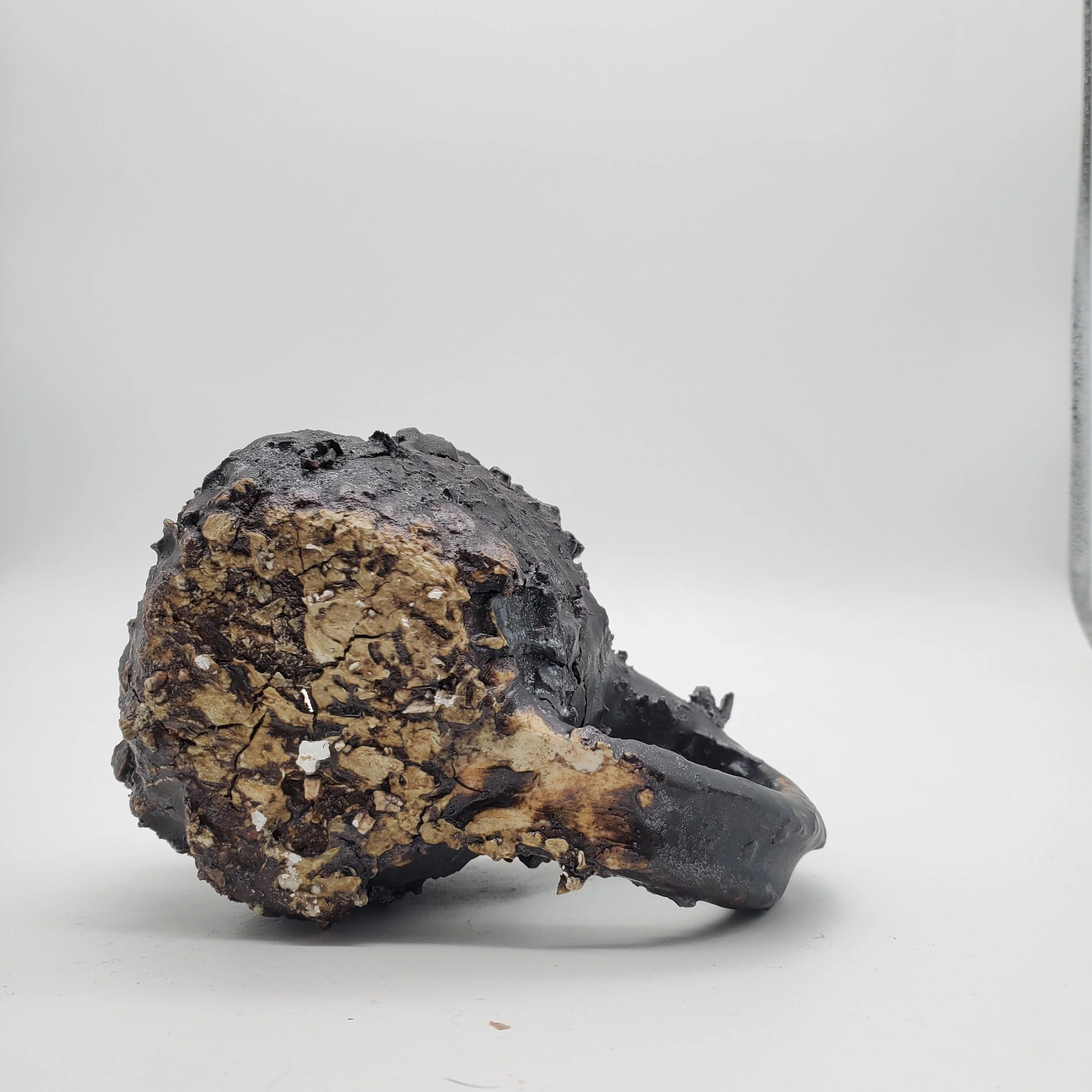 Burned, charred skull with a rough textured surface, resting on a white background.