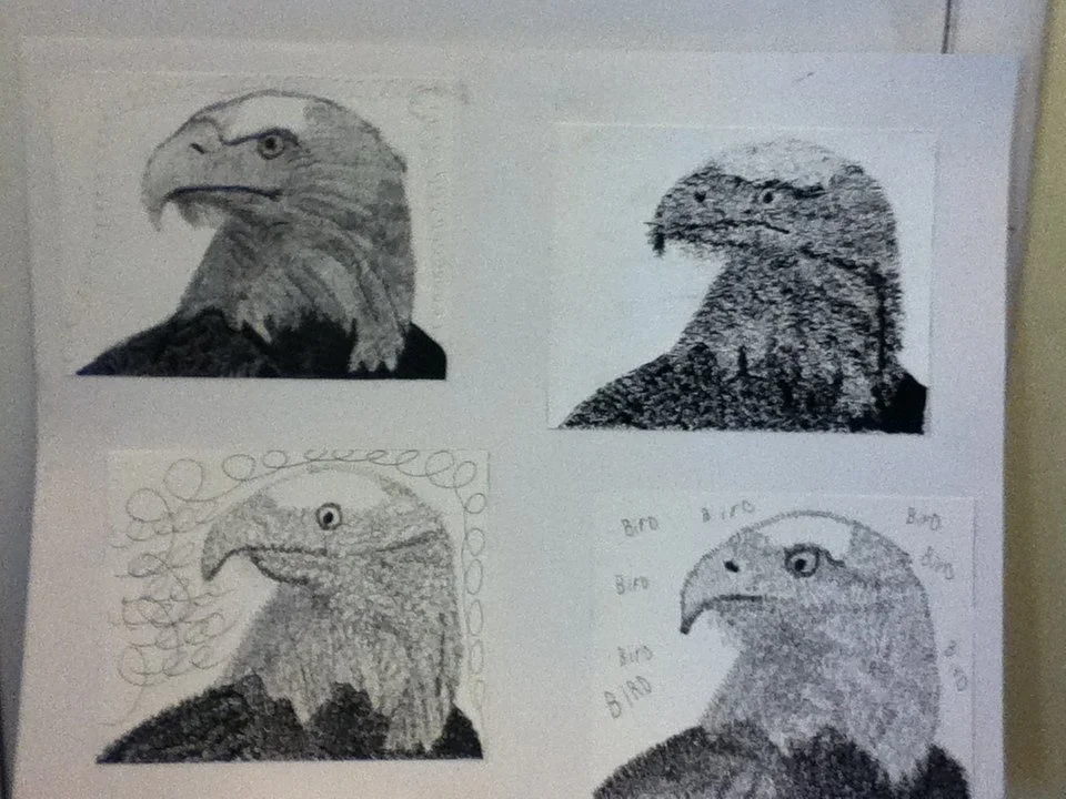 Four hand-drawn sketches of an eagle's head, each with different artistic styles and shading techniques.