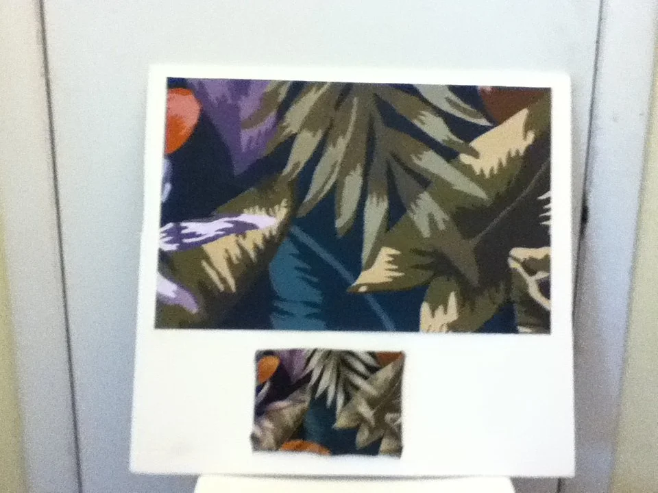 Photograph of a collage with tropical leaves and flowers, featuring a small cut-out at the bottom showing part of the larger image.
