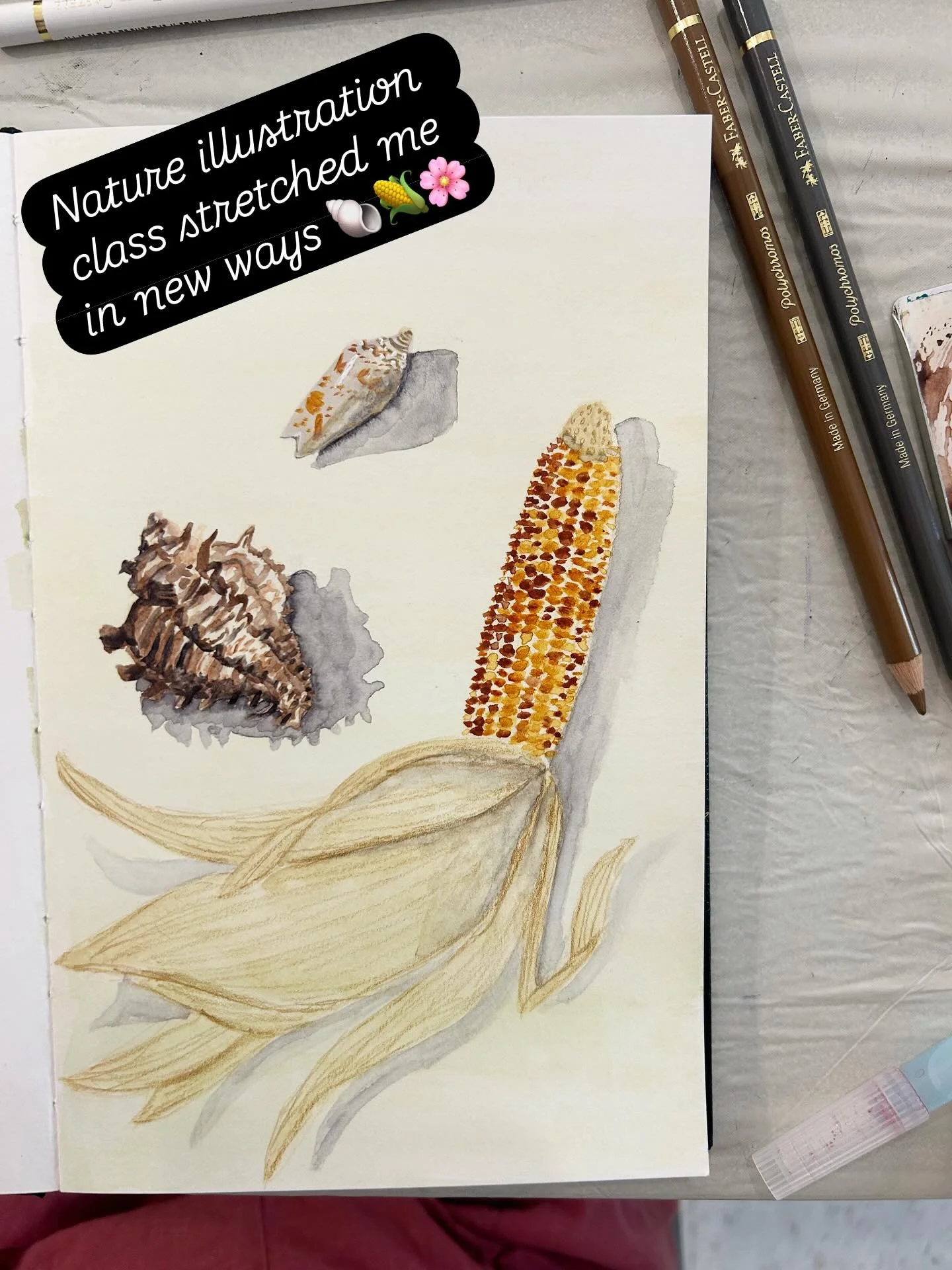 Nature illustration class @crockerart challenged me to pay attention to small details in a way I normally wouldn&rsquo;t. Having the time and the permission to stare at a flower for two hours helped me to really, truly look. It also encouraged me to 