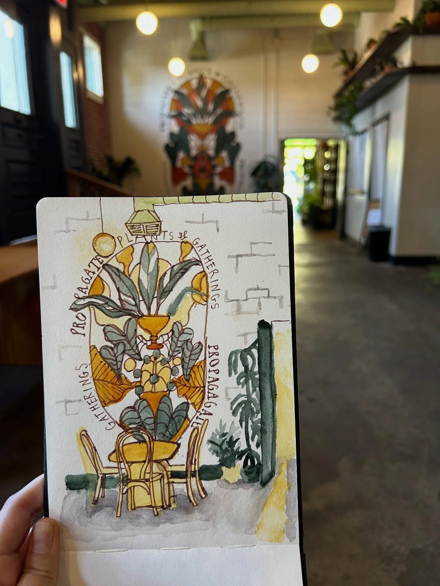 Another cute meetup for Urban Sketchers Sacramento! We had a lot of fun with a small group, sketching the gorgeous interiors and plants @propagatesac. 

Last slide: I love it when a sketching meetup ends in a sketcher sharing their work! @kthm4u is a