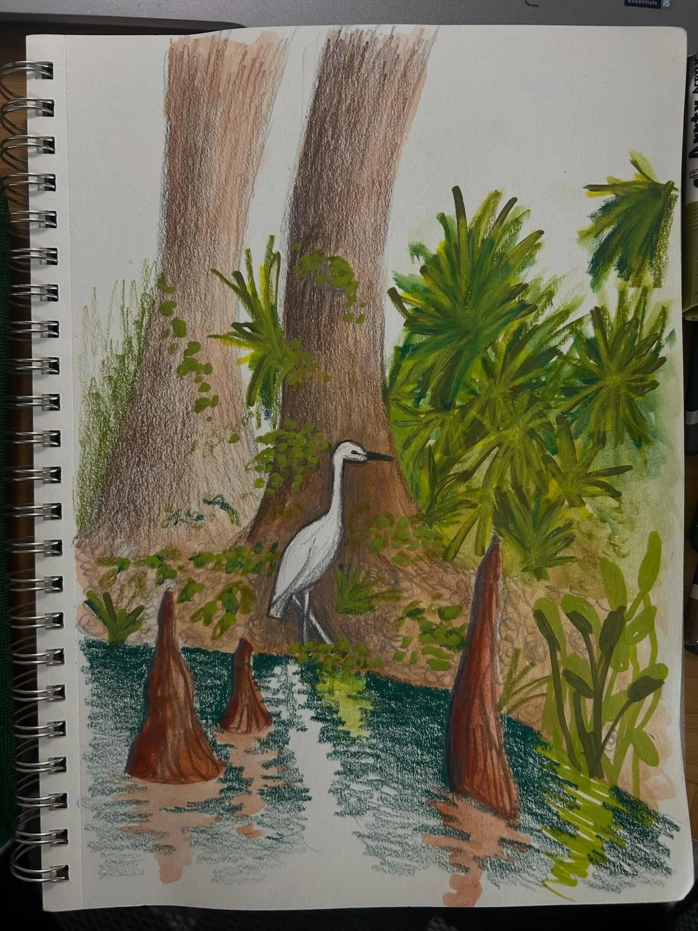 I had fun sketching this Florida scene from a reference photo @herbcoil shared as part of her demo pod. I&rsquo;ve never been to Rock Springs Run, and now I&rsquo;d love to check it out. Reminds me of the Riverbend Park near where I&rsquo;m from in S