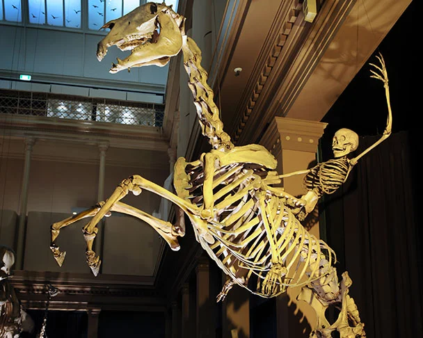 bone-ranger.jpg