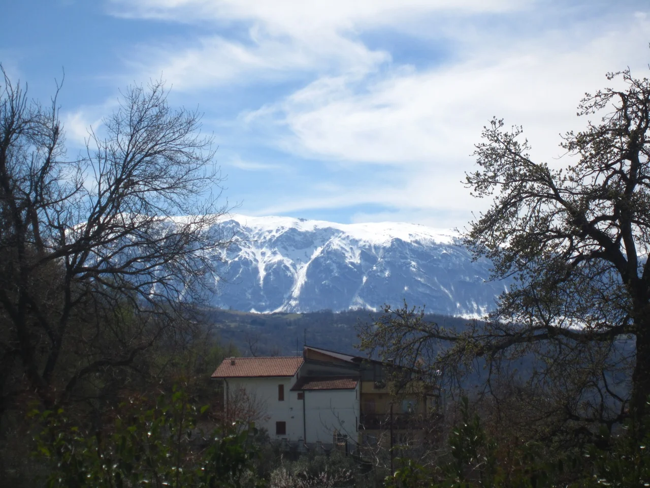 IMG_3463.jpg