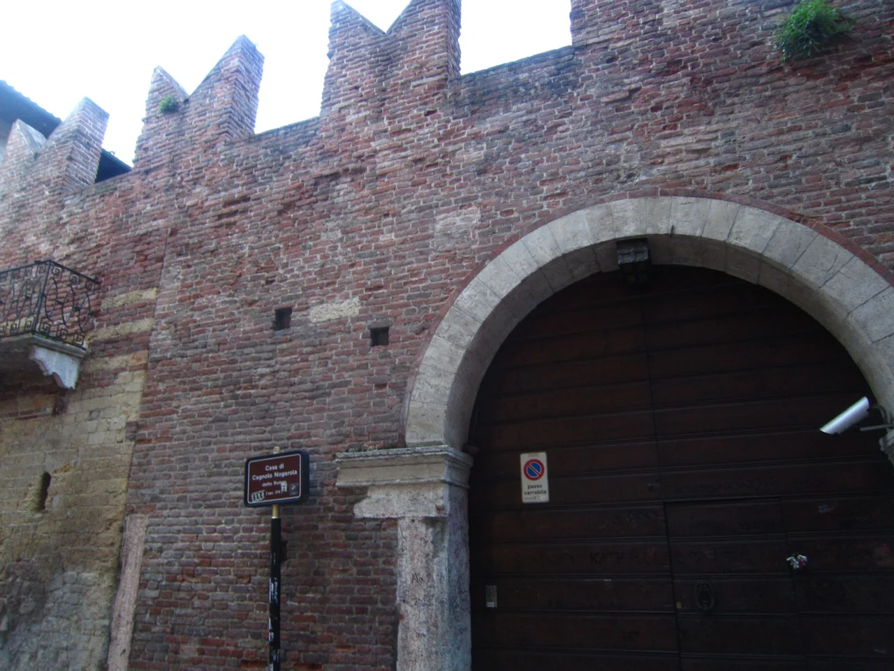 IMG_2646.jpg