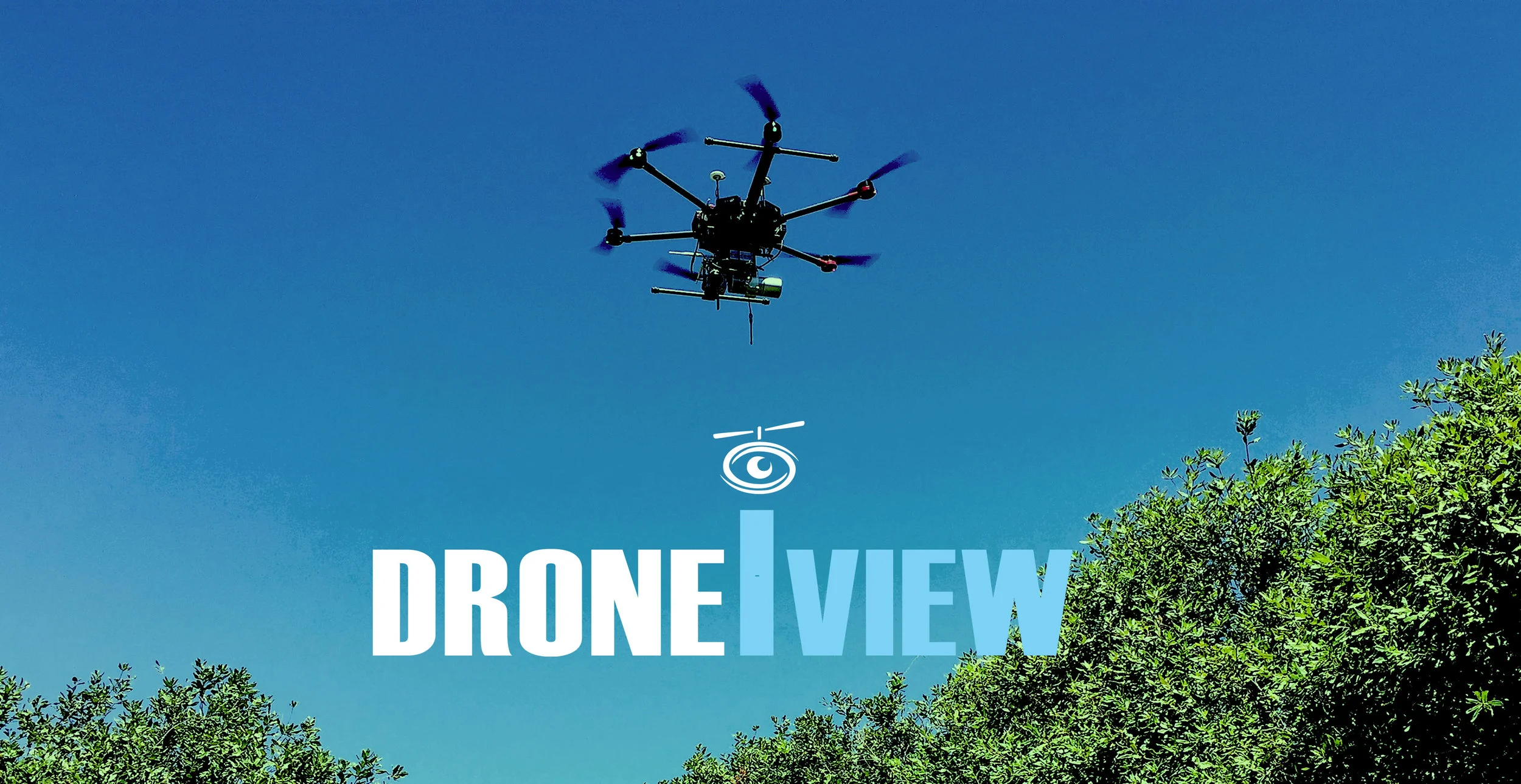 Droneiviewweb_banner.jpg