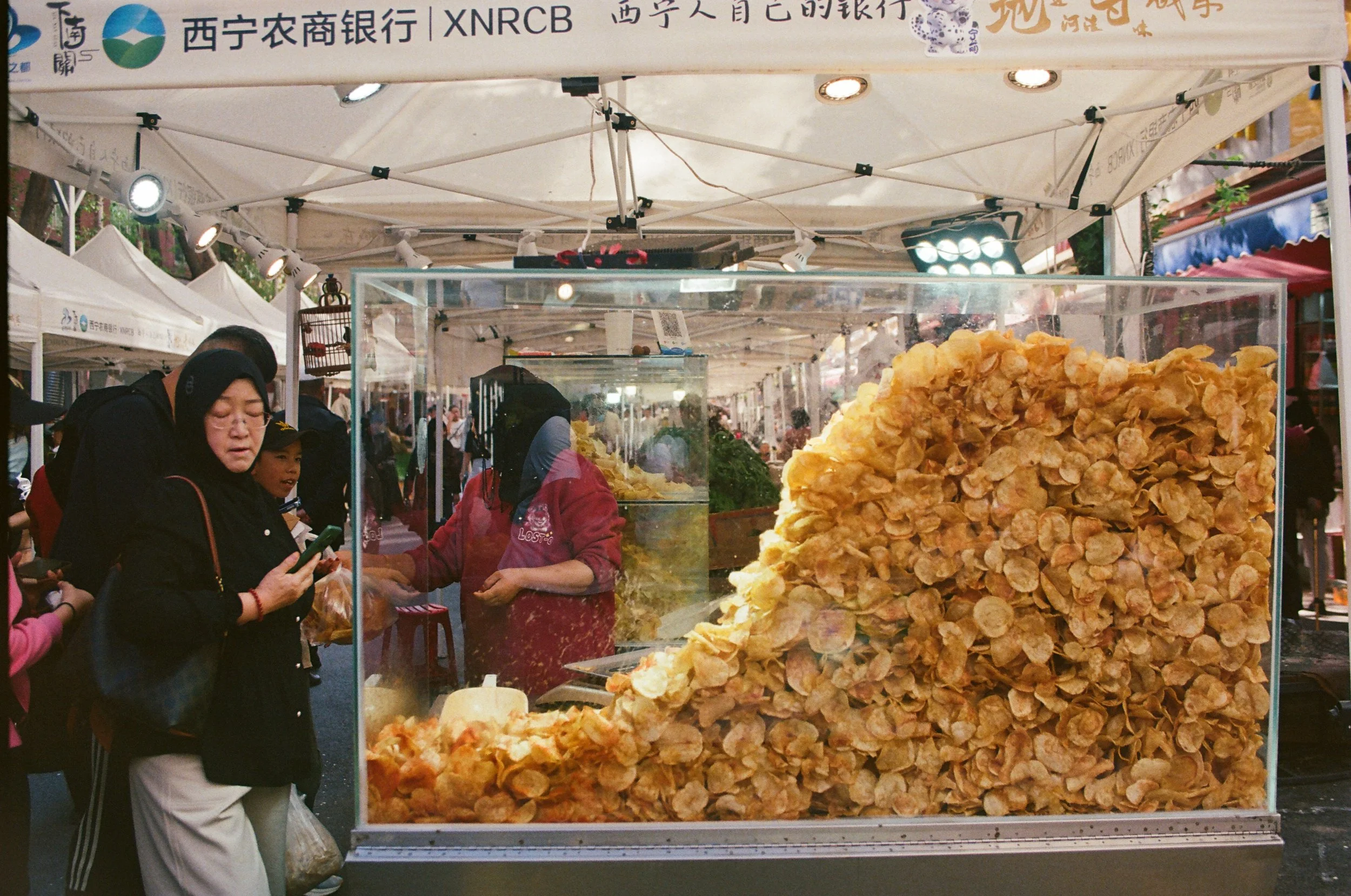  2026 - ALL RIGHT RESERVED 