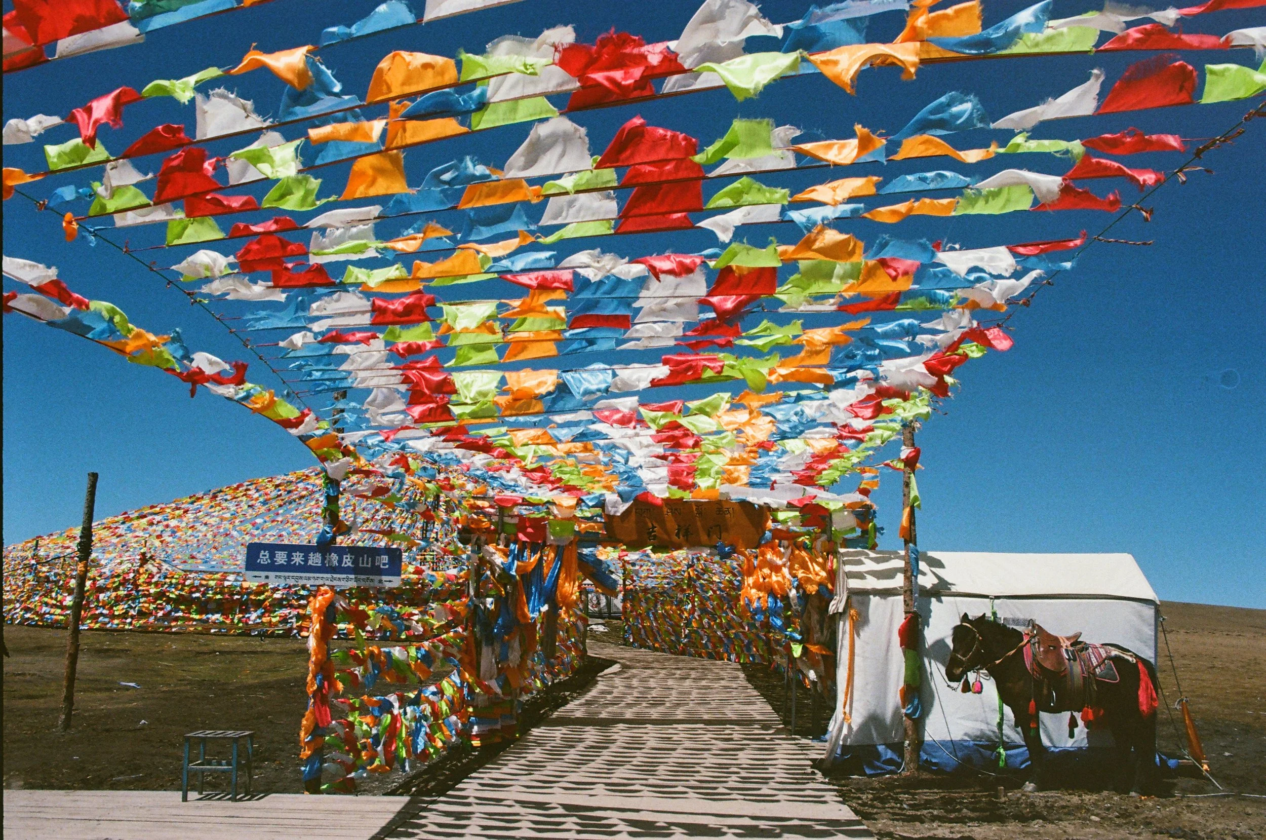  2026 - ALL RIGHT RESERVED 