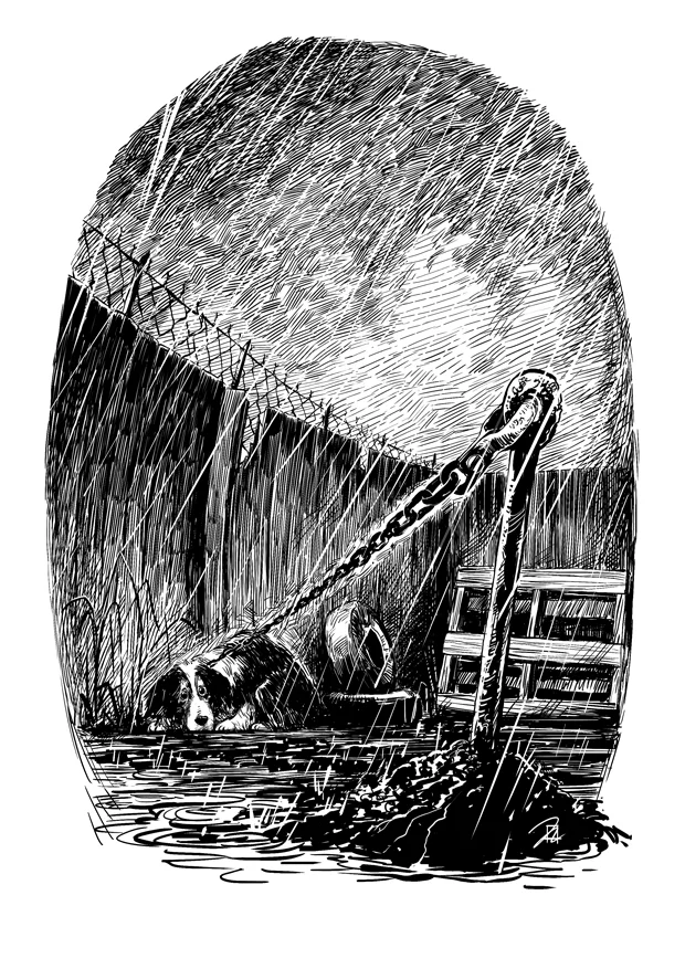 Book Illustration