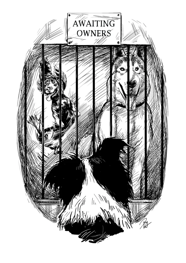 Book Illustration