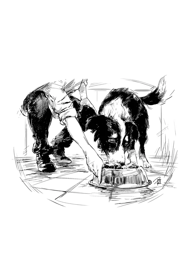 Book Illustration