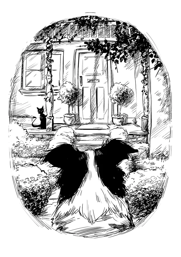 Book Illustration