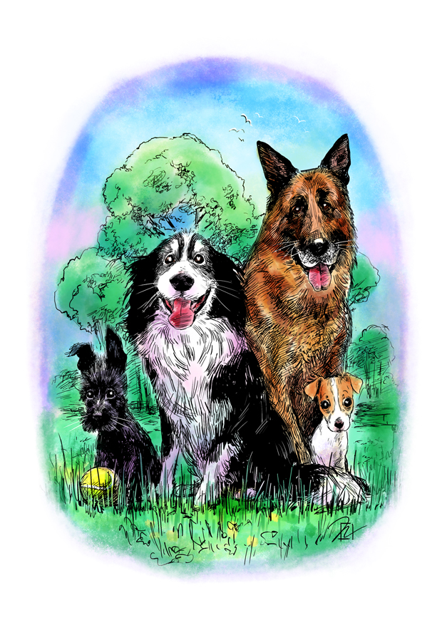 cover2a.jpg